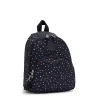 Kipling Paola Small Printed Backpack