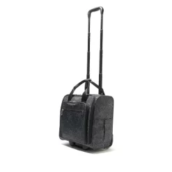 Baggallini 2 Wheel Underseater Carry On Luggage